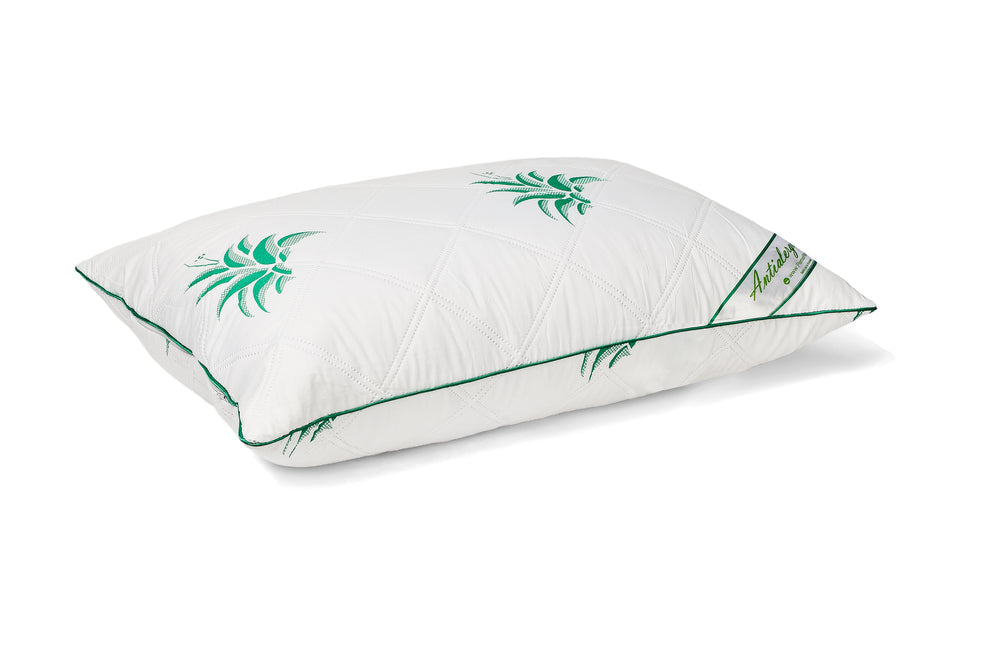 Pilota Aloe Vera 200x220+2 Perne Aloe Vera 50x70