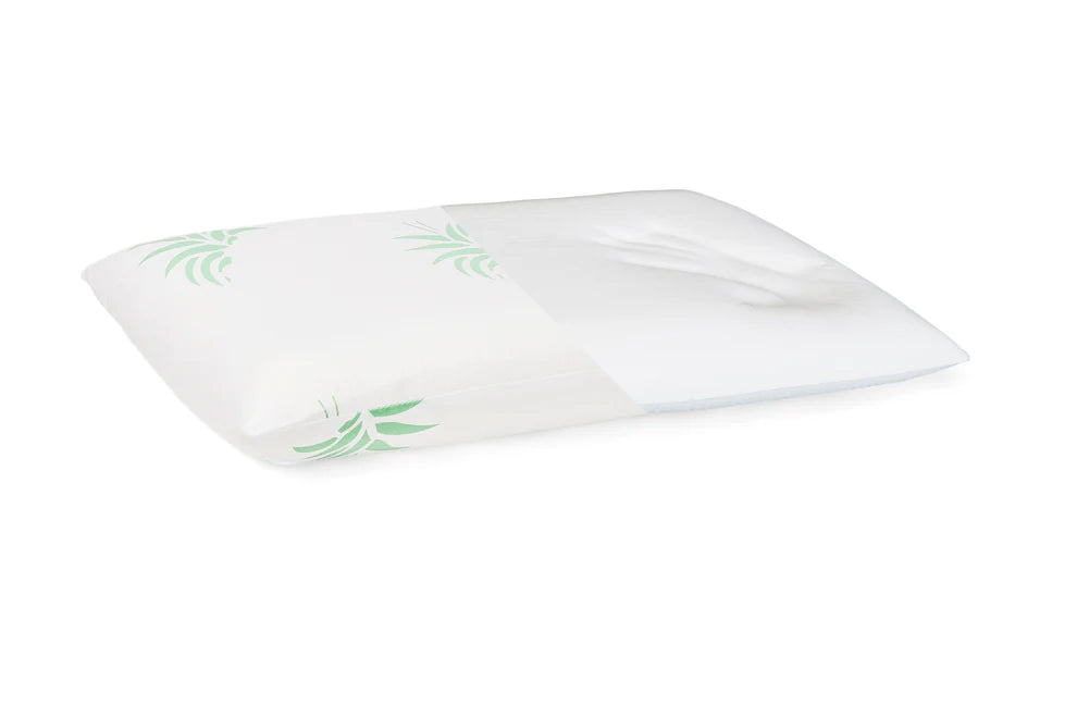 SET PILOTA ALOE VERA 200X200 + 2 PERNE SPUMA DE MEMORIE